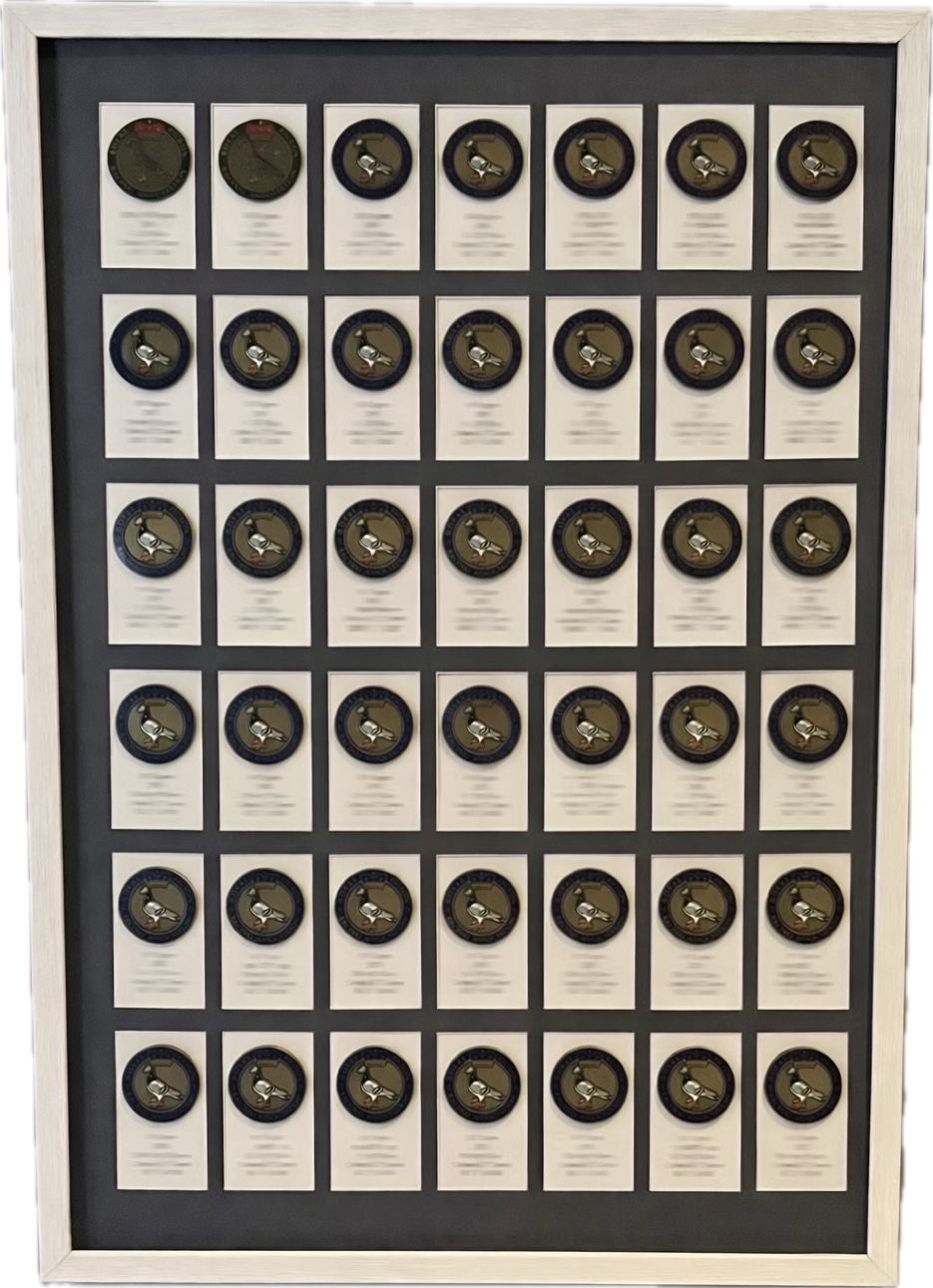 Framed display of over 40 RPRA Awards won